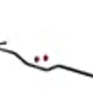 Belltech 5530 Rear Anti Swaybar