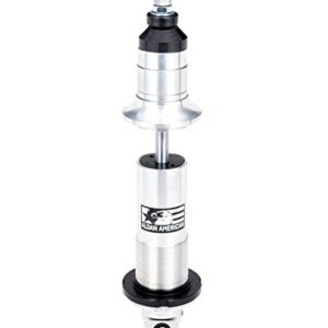 Aldan PAS 653E Coil Over Shock