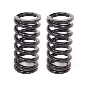 Aldan 8 200BK2 Coil Over Springs