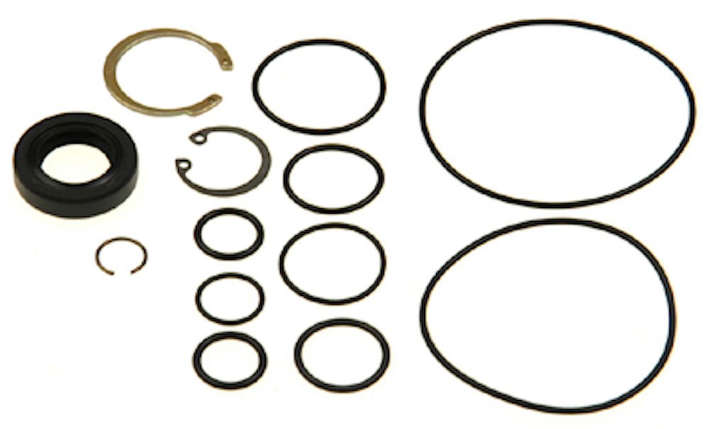 Edelmann P/S Pump Seal Kit 8828