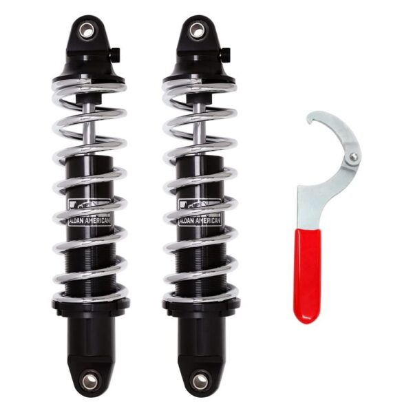 Aldan PR655300C Coil Over Kit
