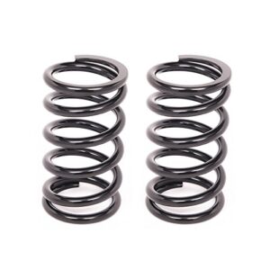 Aldan 6 650BK2 Coil Over Springs