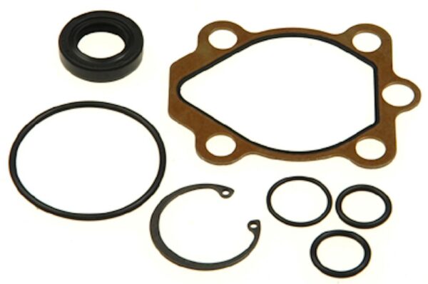 Edelmann P/S Pump Seal Kit   8822