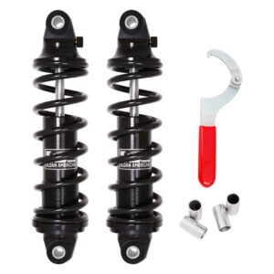 Aldan AR655300B Coil Over Kit
