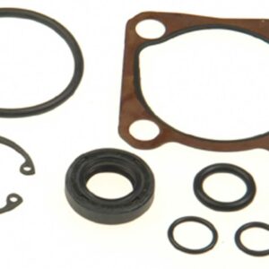 Edelmann P/S Pump Seal Kit   8895