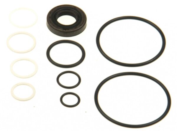 Plews & Edelmann Edelmann P/S Pump Seal Kit   8804