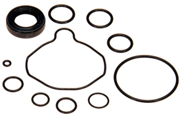 Edelmann P/S Pump Seal Kit   8720