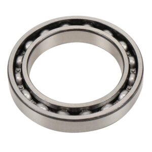 GM Parts S1421 Front Differential Bearing